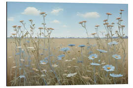 Alubild Feldrand in der Sonne - Herb Dickinson