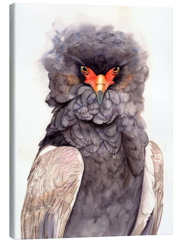 Lienzo Ruffled Majesty: Portrait of the Bateleur Eagle
