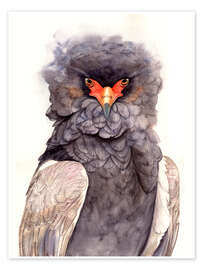 Wall print Ruffled Majesty: Portrait of the Bateleur Eagle - Tetiana Savchenko