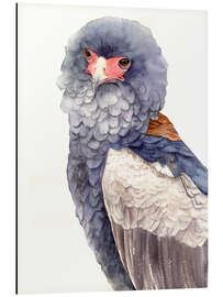 Aluminium print Bird of prey