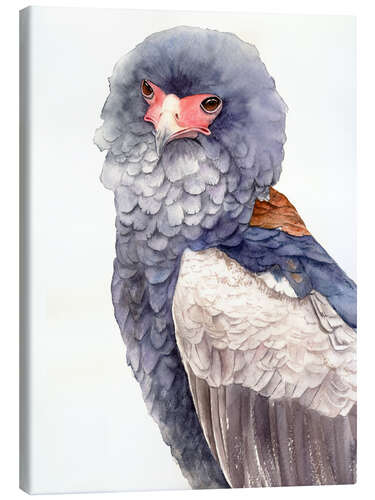 Canvas print Bird of prey