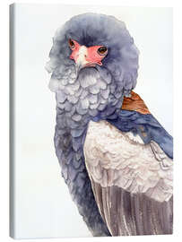 Quadro em tela Bird of prey - Tetiana Savchenko