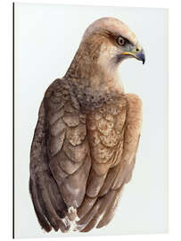 Alubild Jagdhorizonte - Tetiana Savchenko