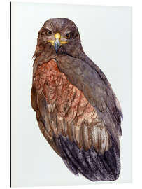 Tableau en aluminium Falcon in gray brown shades - Tetiana Savchenko