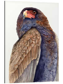 Alubild Königlicher Adler - Tetiana Savchenko