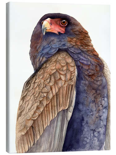 Canvas print Regal Eagle