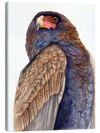 Canvas print Regal Eagle - Tetiana Savchenko