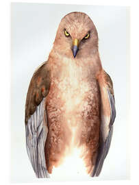 Acrylglasbild Blick des Raubtiers - Tetiana Savchenko