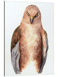 Alubild Blick des Raubtiers - Tetiana Savchenko