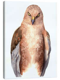 Leinwandbild Blick des Raubtiers - Tetiana Savchenko