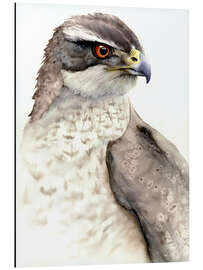 Aluminium print Falcon, bird of prey - Tetiana Savchenko
