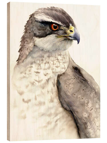 Holzbild Falke, Raubvogel