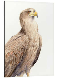 Obraz na aluminium Hawk - Tetiana Savchenko