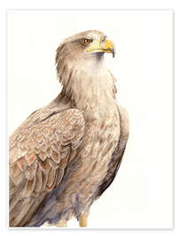 Wall print Hawk - Tetiana Savchenko