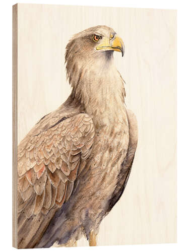 Trätavla Hawk