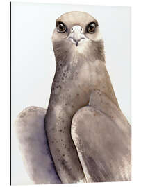 Stampa su alluminio Gray Falcon - Tetiana Savchenko