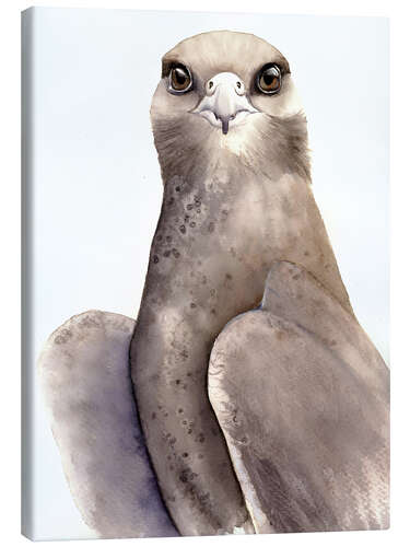Lienzo Gray Falcon