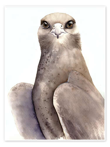 Poster Gray Falcon