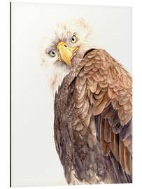 Cuadro de aluminio The Eagle is watching