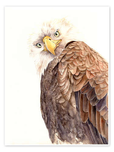 Plakat The Eagle is watching