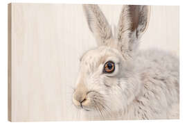 Tableau en bois Snow hare - Christian Müringer