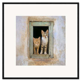 Impression artistique encadrée Two cute kittens in the window frame