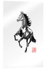 Acrylglas print Running Horse