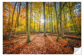 Wandsticker Sonnenlicht im Herbstwald