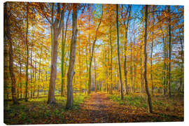 Lienzo Forest path in autumn - George Pachantouris