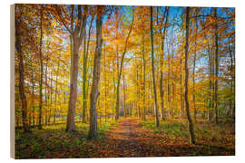 Holzbild Waldweg im Herbst