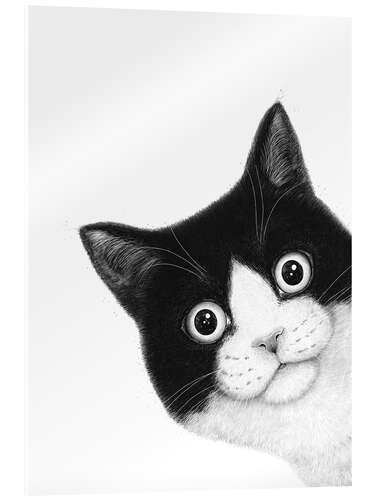 Acrylic print Surprised black and white cat