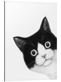 Alubild Überraschte schwarz-weiße Katze