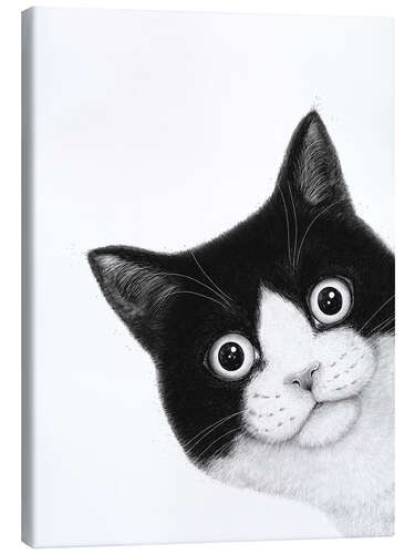 Obraz na płótnie Surprised black and white cat