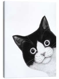 Obraz na płótnie Surprised black and white cat - Valeriya Korenkova