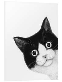 Hartschaumbild Überraschte schwarz-weiße Katze