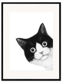 Gerahmter Kunstdruck Überraschte schwarz-weiße Katze
