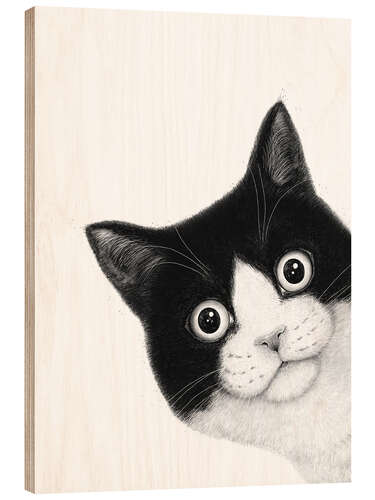 Wood print Surprised black and white cat