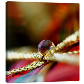 Canvas print Surprise - Dirk Driesen