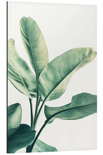 Alubild Grünes Blatt
