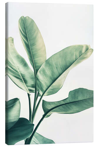 Canvas print Green Leaf