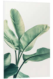 Hartschaumbild Grünes Blatt