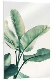 Galleritryck Green Leaf