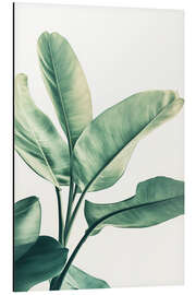 Magnettafel Grünes Blatt