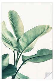 Wandsticker Grünes Blatt