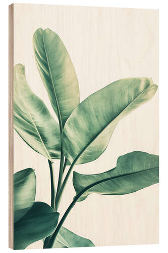 Stampa su legno Green Leaf