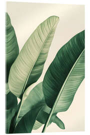 Acrylglasbild Strelizie