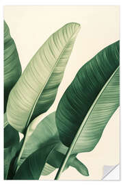 Wandsticker Strelizie