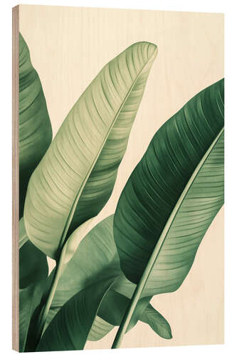 Tableau en bois Strelizia