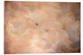 Obraz na szkle akrylowym Swans in the Clouds - Madelene Löfholm