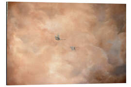 Alubild Schwäne in den Wolken - Madelene Löfholm